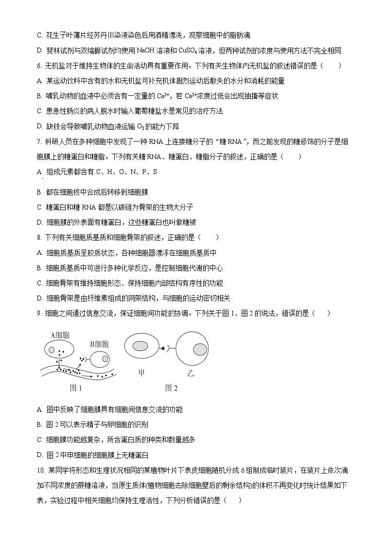 河南省周口市鹿邑县2024-2025学年高一上学期11月期中考试生物试题（原卷版）-A4第2页