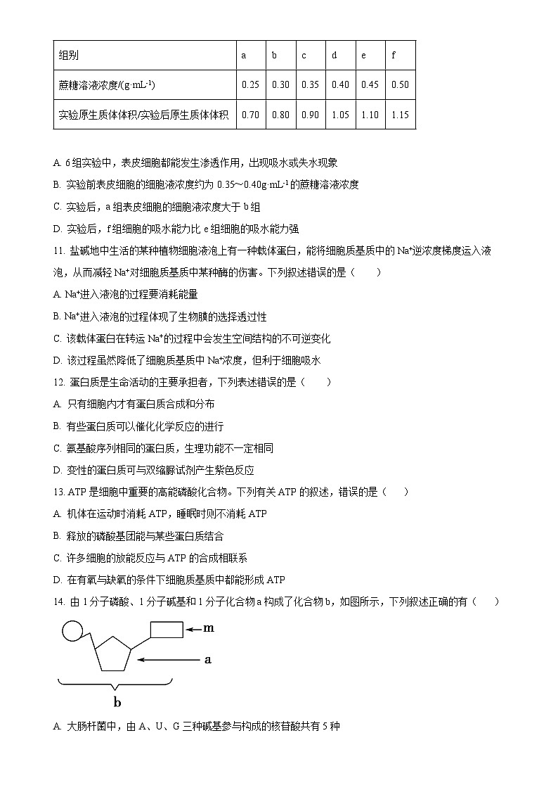 河南省周口市鹿邑县2024-2025学年高一上学期11月期中考试生物试题（原卷版）-A4第3页