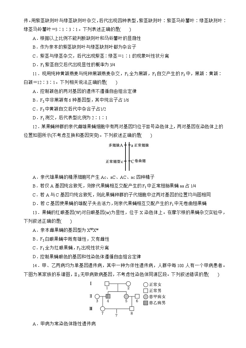 黑龙江省实验中学2024-2025学年高三上学期第三次月考生物试卷-A4第3页