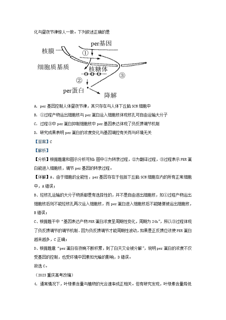 重庆市2023_2024学年高二生物上学期11月月考试题含解析第3页