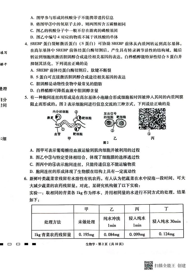 重庆市2024届高三生物上学期适应性月考卷二试题pdf第2页