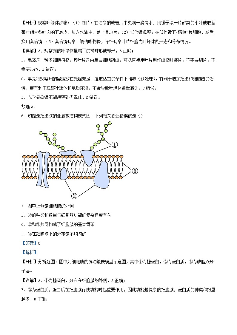 浙江省杭州市2023_2024学年高一生物上学期期中试题含解析第3页