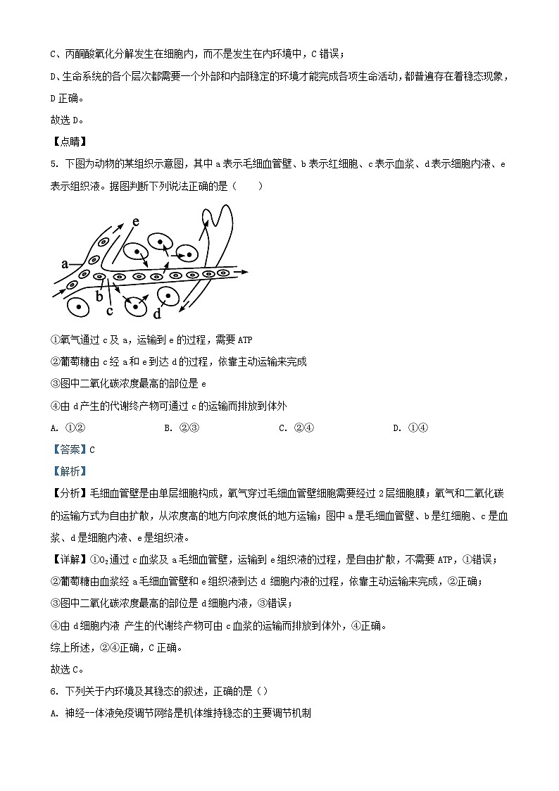 重庆市万州区2023_2024学年高二生物上学期10月月考试题含解析第3页