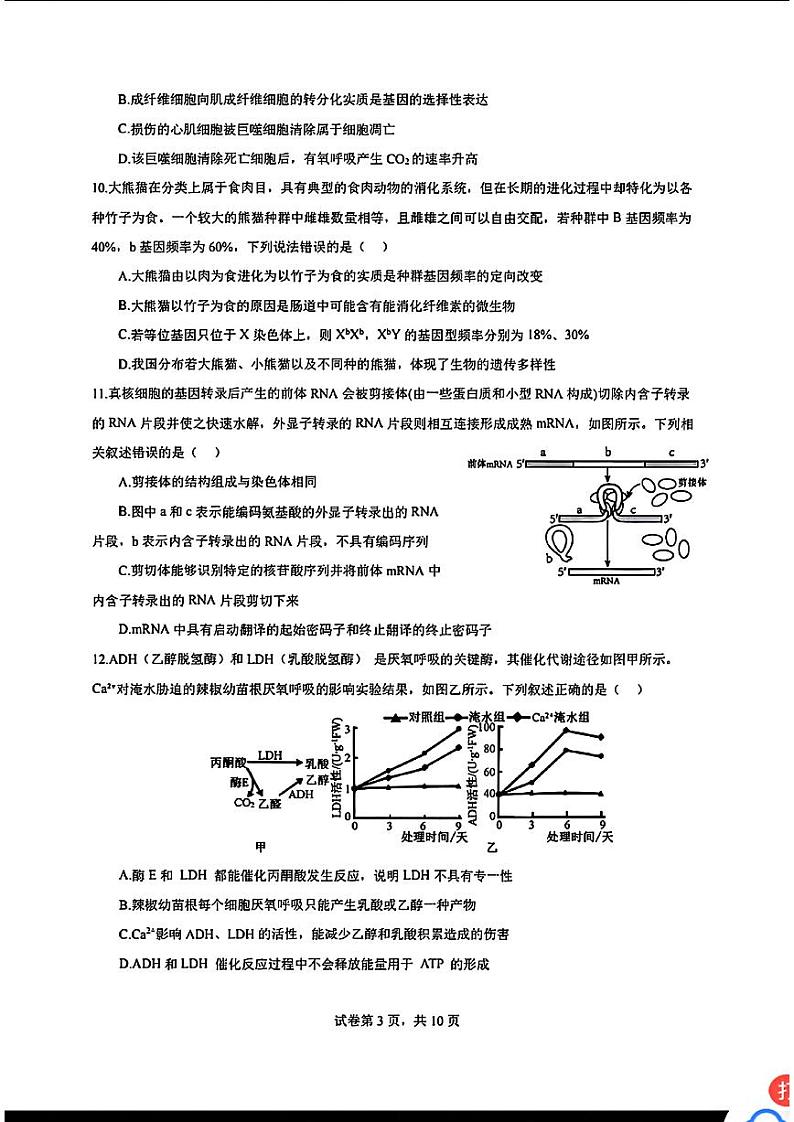 广东省深圳市高级中学2024-2025学年高三上学期第二次诊断考试生物学第3页