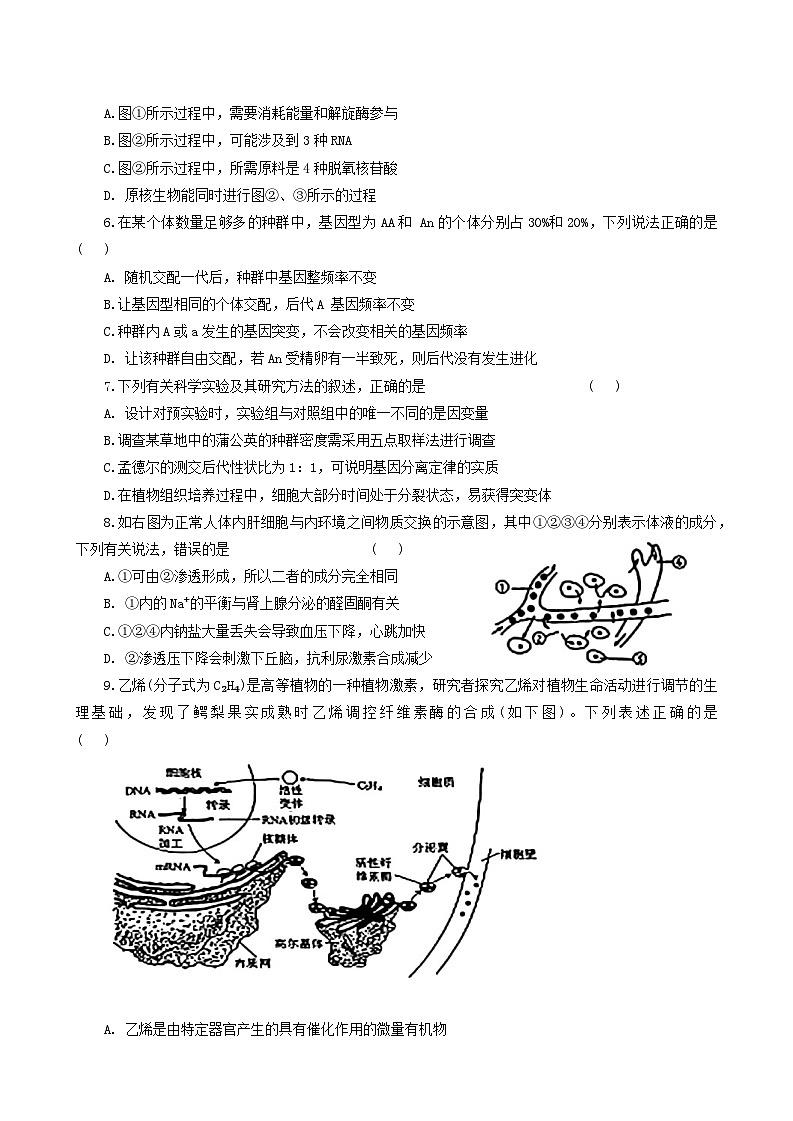2025届河北省邯郸市部分校高三第一次大联考模拟预测生物试卷第2页