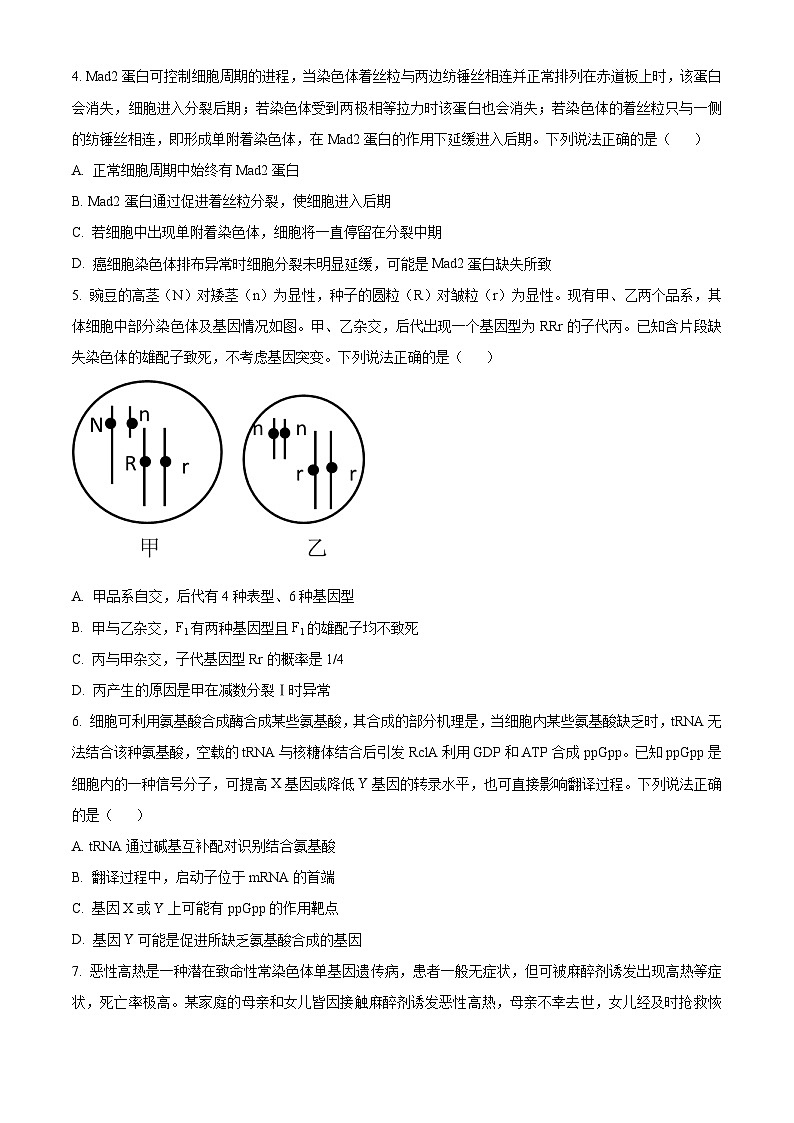山东省济宁市2024届高三上学期期末考试生物试题第2页