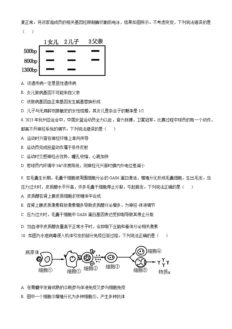 山东省济宁市2024届高三上学期期末考试生物试题第3页
