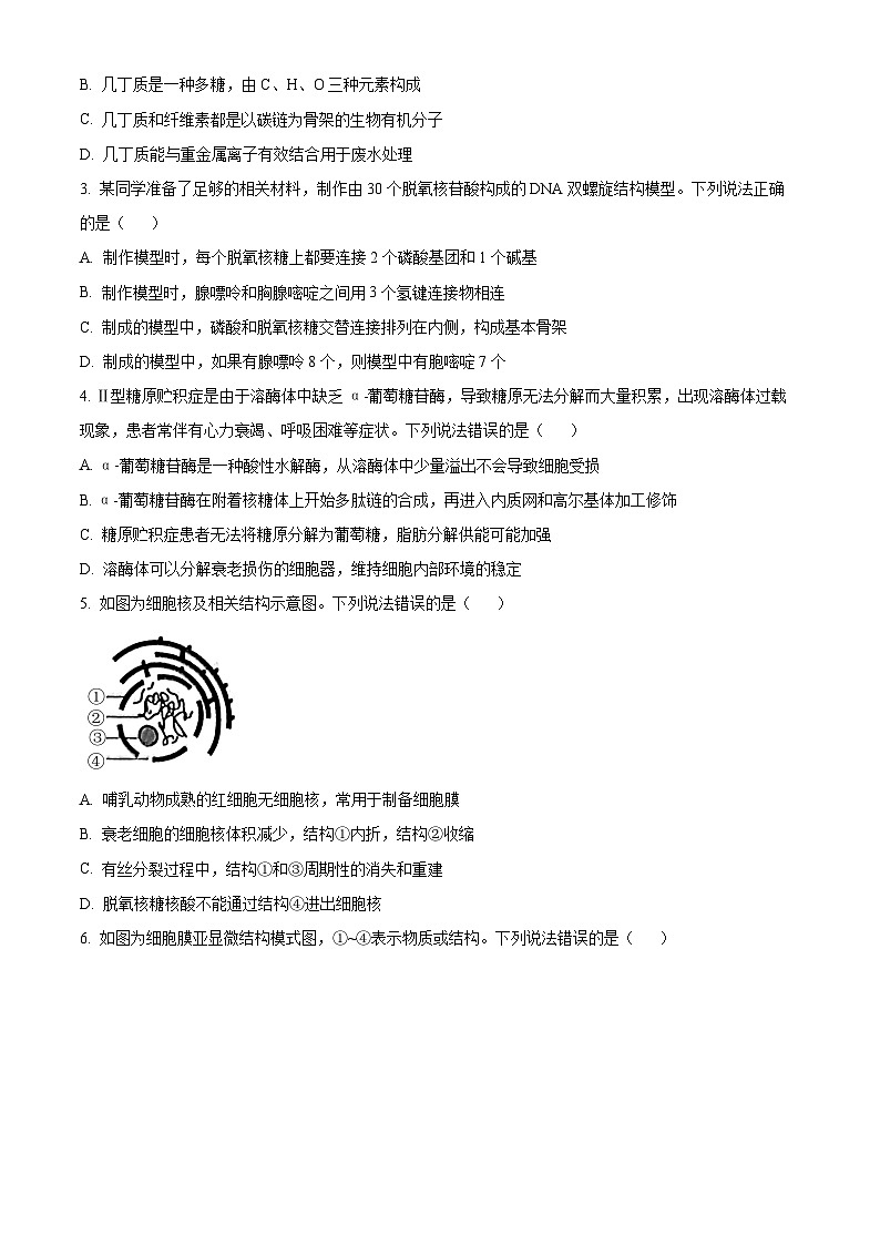 山东省淄博市2023-2024学年高一上学期期末教学质量检测生物试题第2页