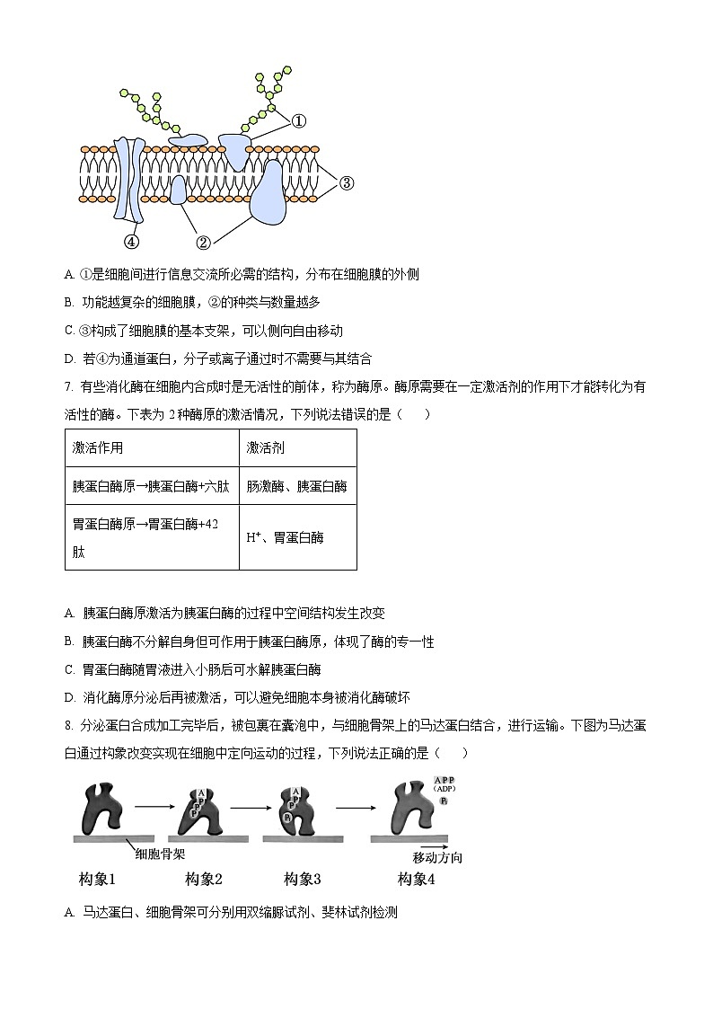 山东省淄博市2023-2024学年高一上学期期末教学质量检测生物试题第3页