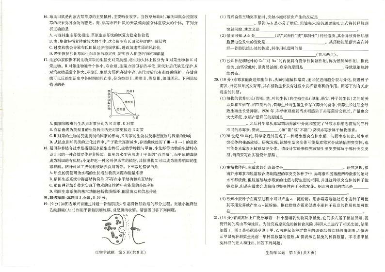 南阳六校2023-2024学年高二上学期期末生物试卷及答案第3页