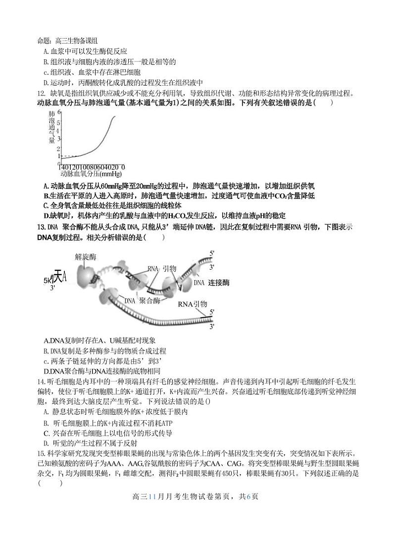 生物丨广西壮族自治区南宁市第二中学2025届高三上学期11月月考生物试卷及答案第3页