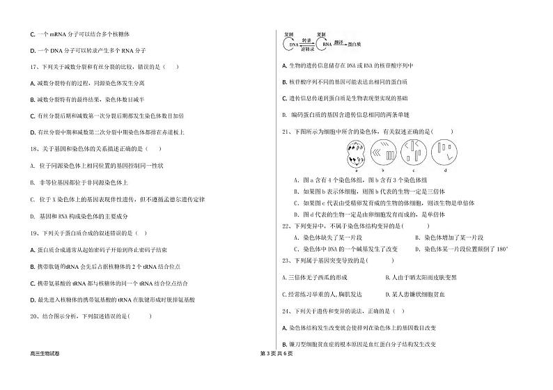 生物丨黑龙江省木斯市第八中学2025届高三上学期12月月考生物试卷及答案第3页