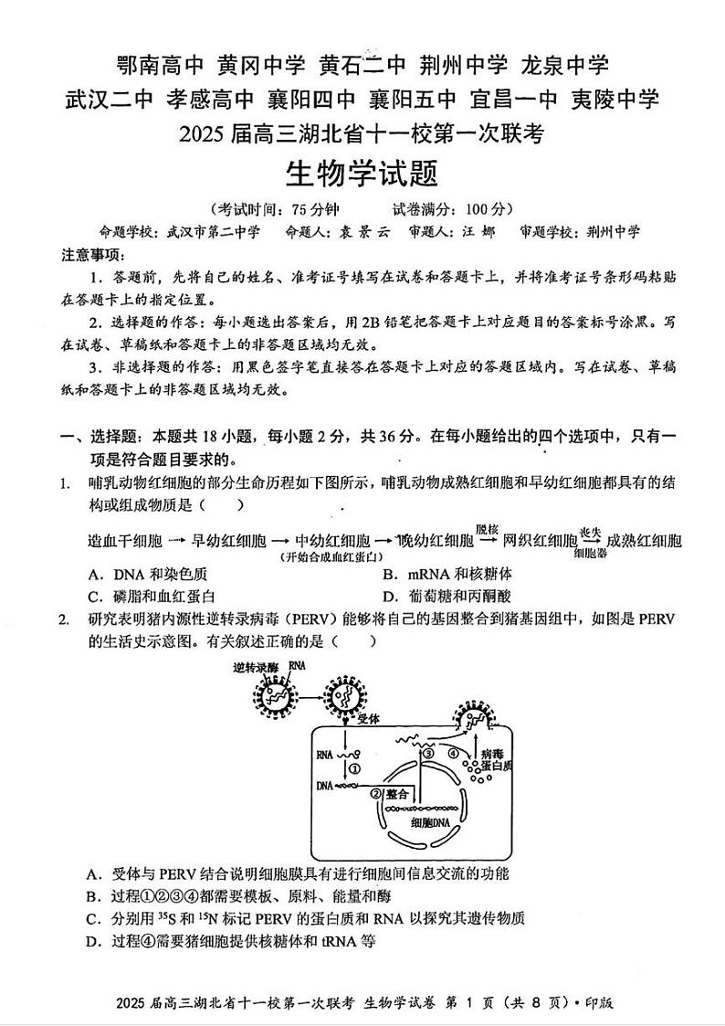 生物丨湖北省十一校2025届高三12月第一次联考生物试卷及答案第1页