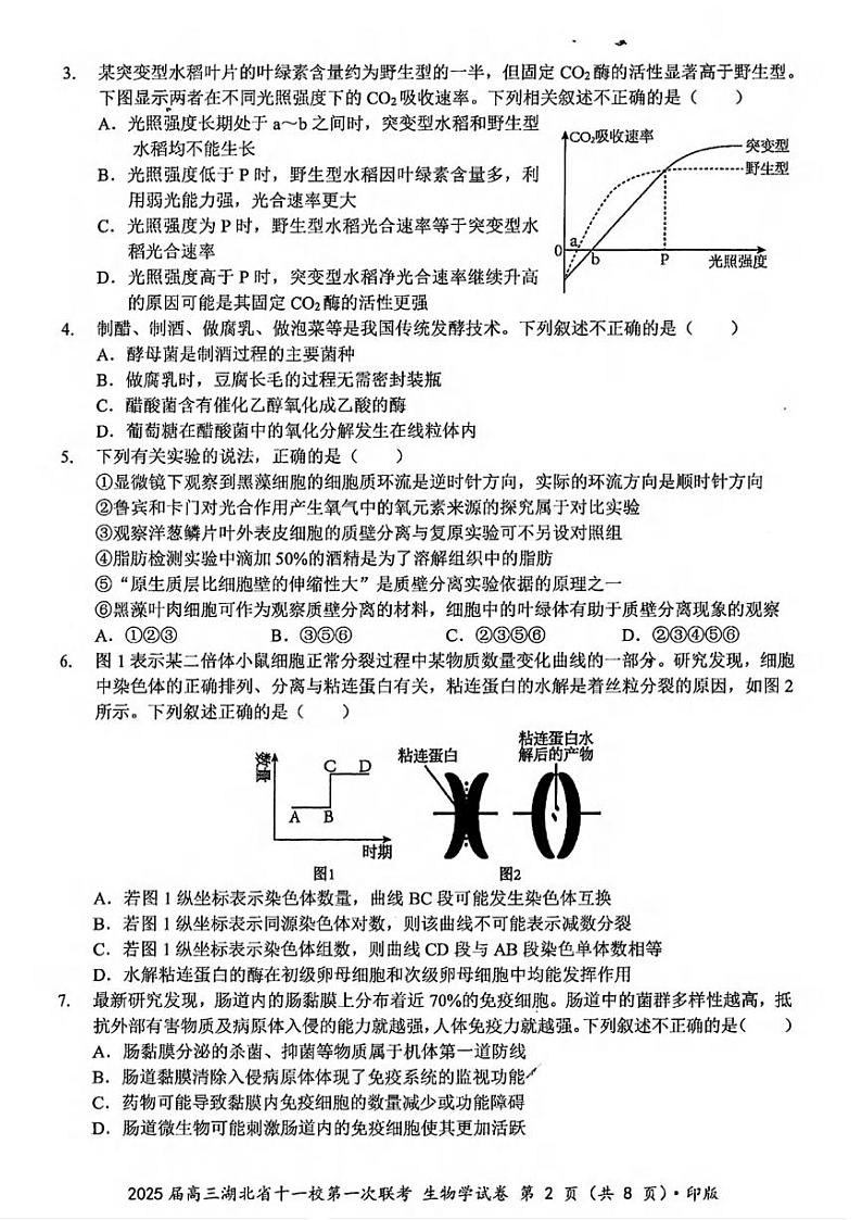 生物丨湖北省十一校2025届高三12月第一次联考生物试卷及答案第2页
