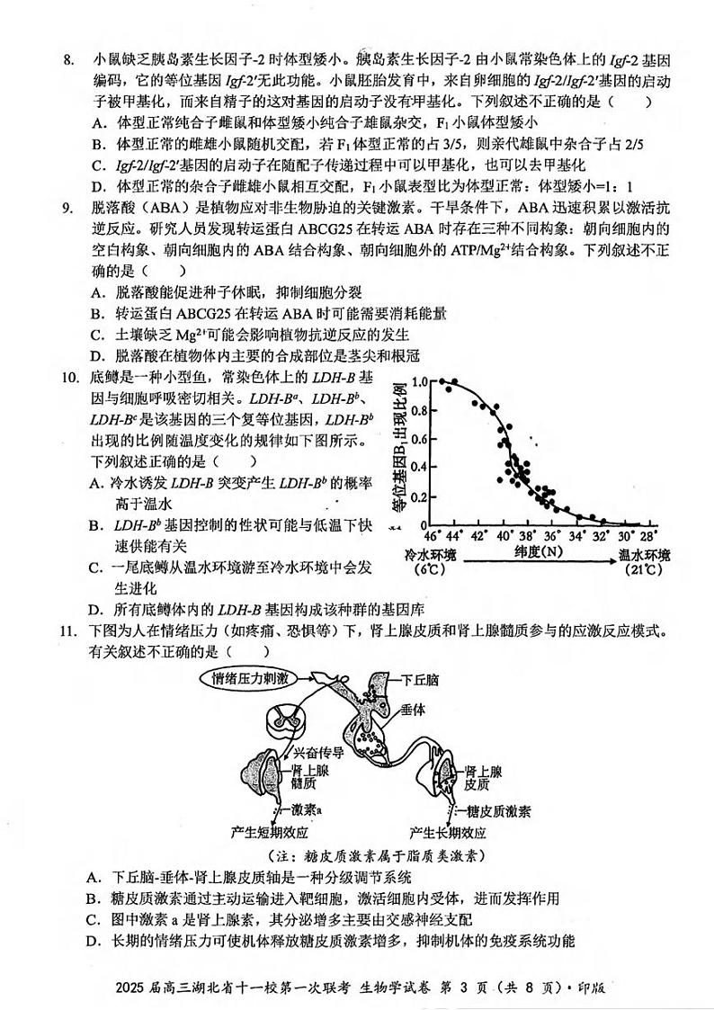 生物丨湖北省十一校2025届高三12月第一次联考生物试卷及答案第3页