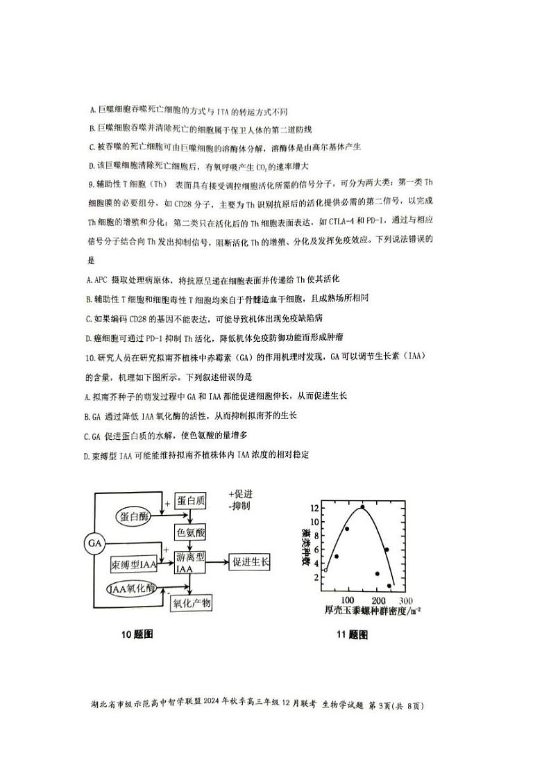 生物丨湖北省市级示范高中智学联盟2025届高三上学期12月联考生物试卷及答案第3页