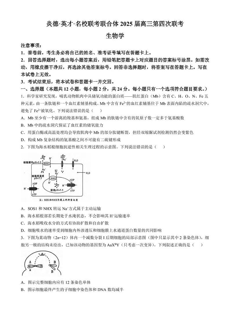 生物丨湖南省炎德英才名校联考联合体2025届高三12月第四次联考生物试卷及答案第1页