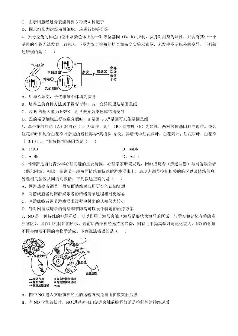 生物丨湖南省炎德英才名校联考联合体2025届高三12月第四次联考生物试卷及答案第2页