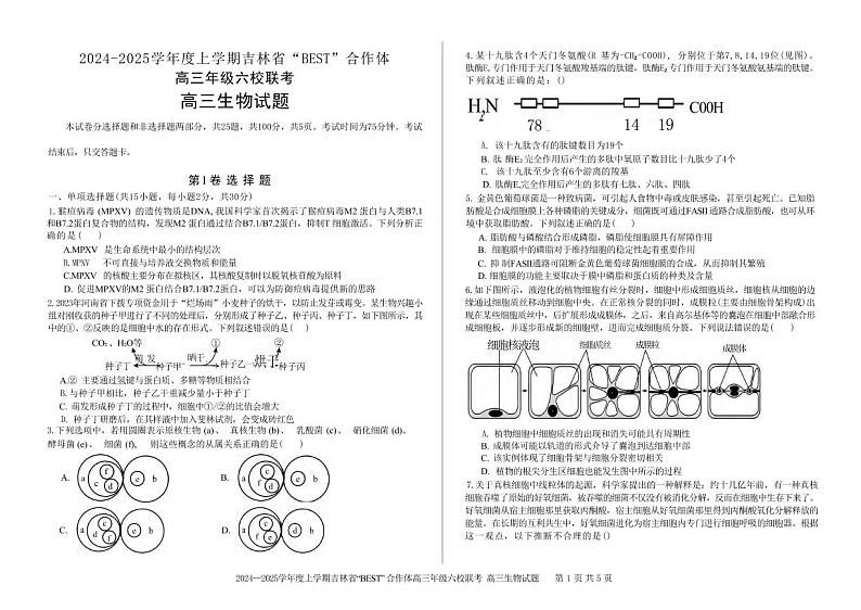 生物丨吉林省“BEST”合作体六校2025届高三上学期11月第三次联考试生物试卷及答案第1页