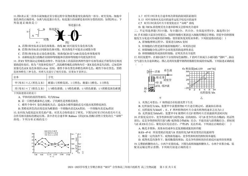 生物丨吉林省“BEST”合作体六校2025届高三上学期11月第三次联考试生物试卷及答案第3页