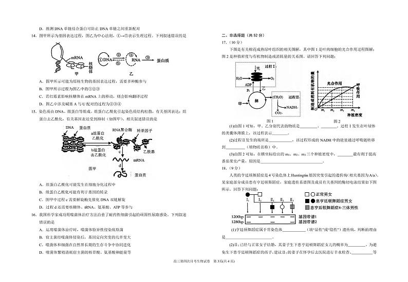 生物丨宁夏回族自治区银川一中2025届高三上学期第四次月考生物试卷及答案第3页