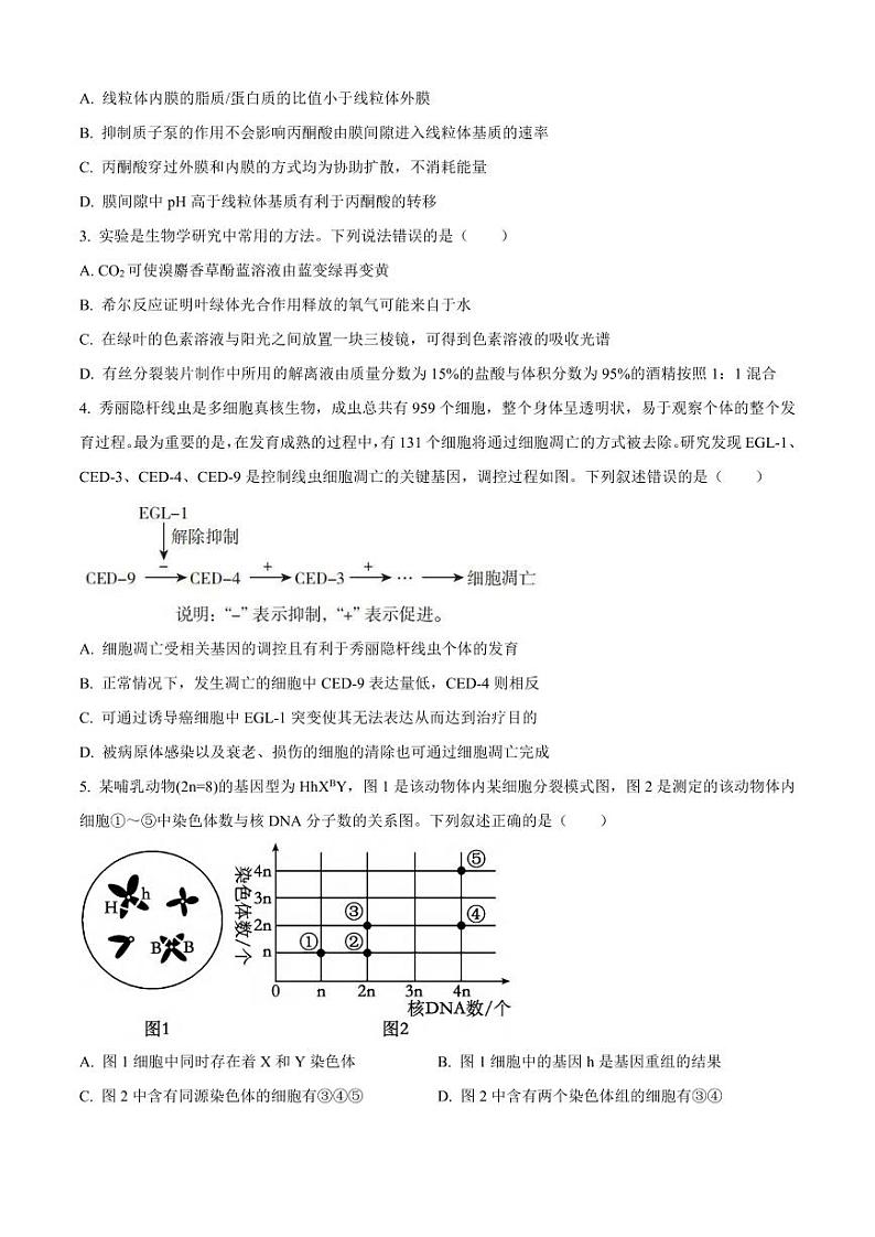 生物丨山东省济南一中2025届高三上学期11月期中学情检测生物试卷及答案第2页