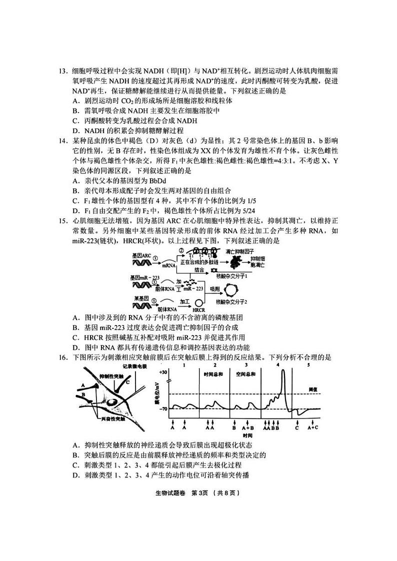 生物丨浙江省金丽衢十二校2025届高三12月第一次联考（金丽衢一模）生物试卷及答案第3页