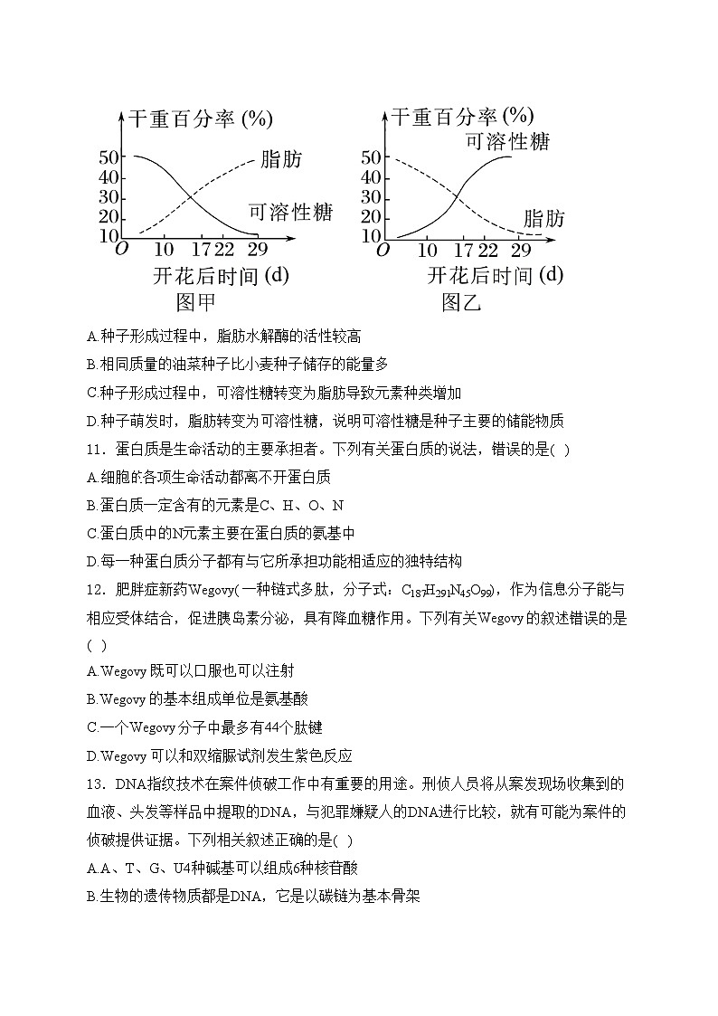 湖北省黄冈市十五校2024-2025学年高一上学期期中联考生物试卷(含答案)第3页