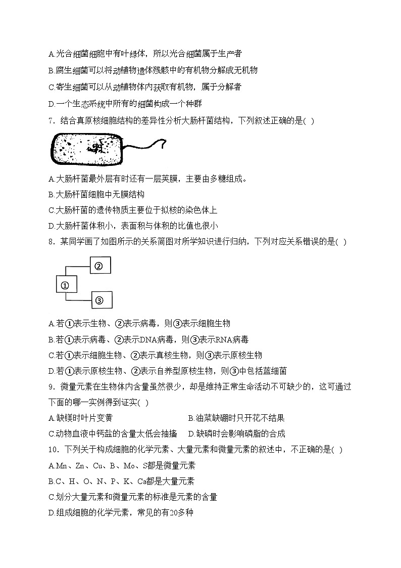重庆市第八中学校2024-2025学年高一上学期11月月考生物试卷(含答案)第2页