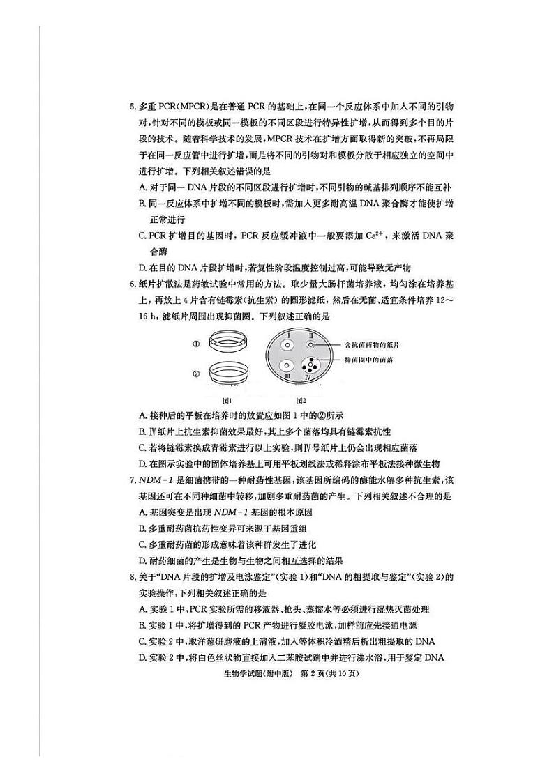 湖南省湖南师大附中2025届高三上学期月考试卷（四）-生物试卷+答案第2页