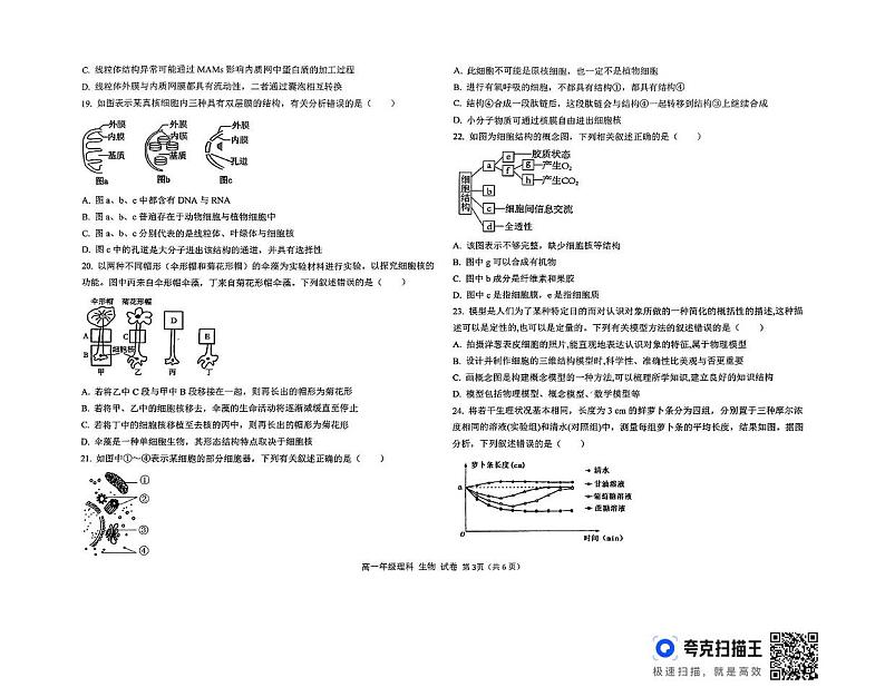 天津市滨海新区田家炳中学2024-2025学年高一上学期12月月考生物试卷第3页
