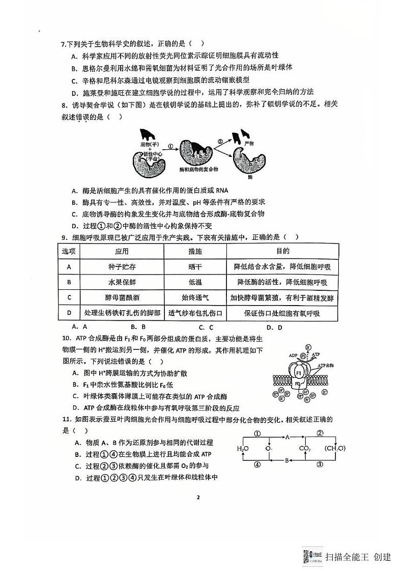 江苏省南通市海安市实验中学2024-2025学年高一上学期12月月考生物试题第2页