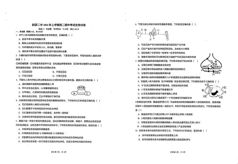 湖南省邵阳市新邵县第二中学2024-2025学年高二上学期期中考试生物试题第1页