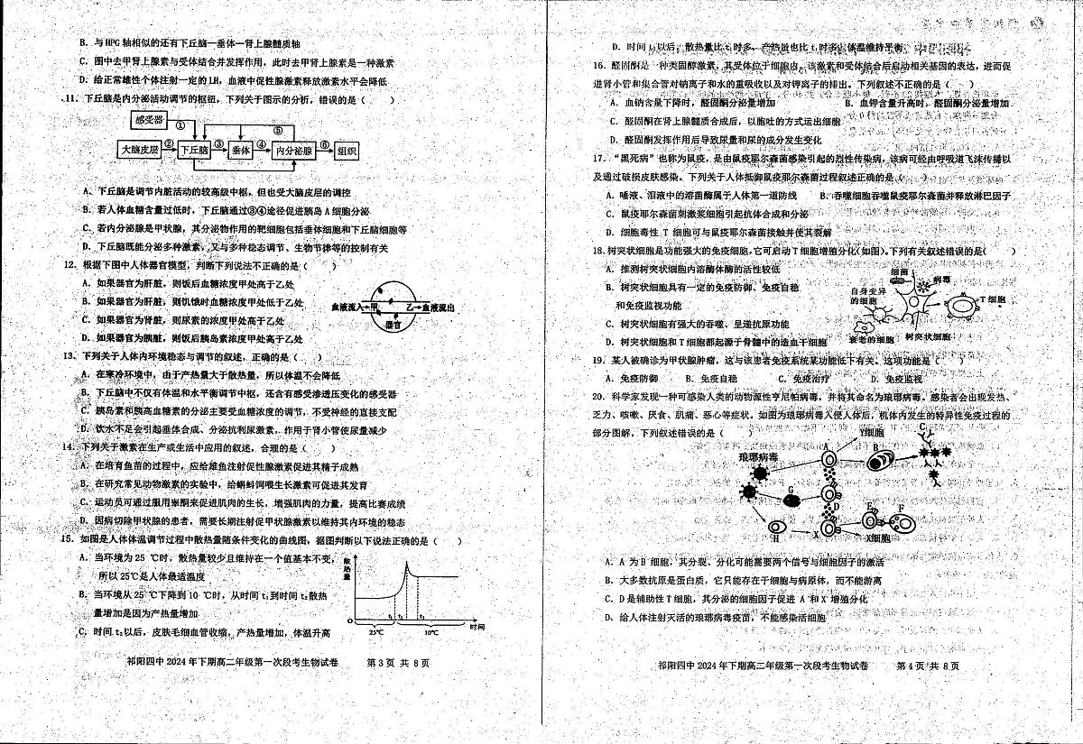 湖南省永州市祁阳县第四中学2024-2025学年高二上学期10月考试生物试题第2页