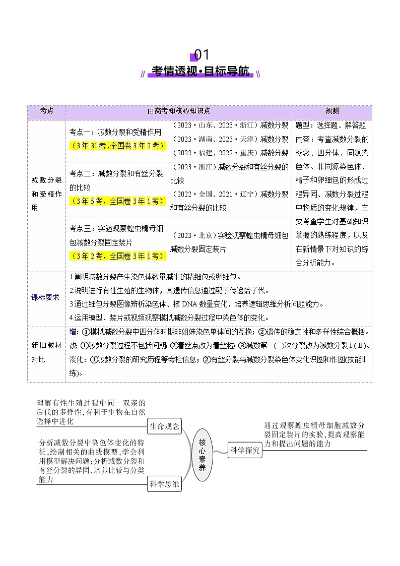 2025年新高考生物一轮复习第4单元细胞的生命历程第13讲减数分裂和受精作用（讲义）（教师版）第2页