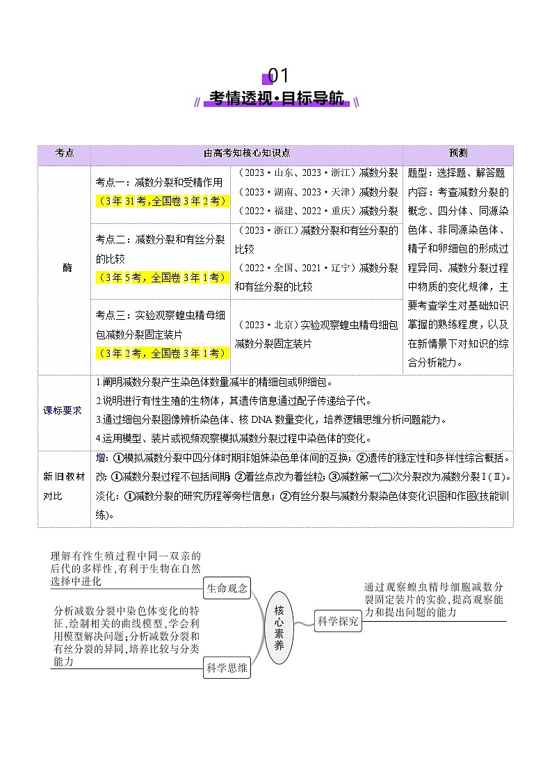 2025年新高考生物一轮复习第4单元细胞的生命历程第13讲减数分裂和受精作用（讲义）（学生版）第2页