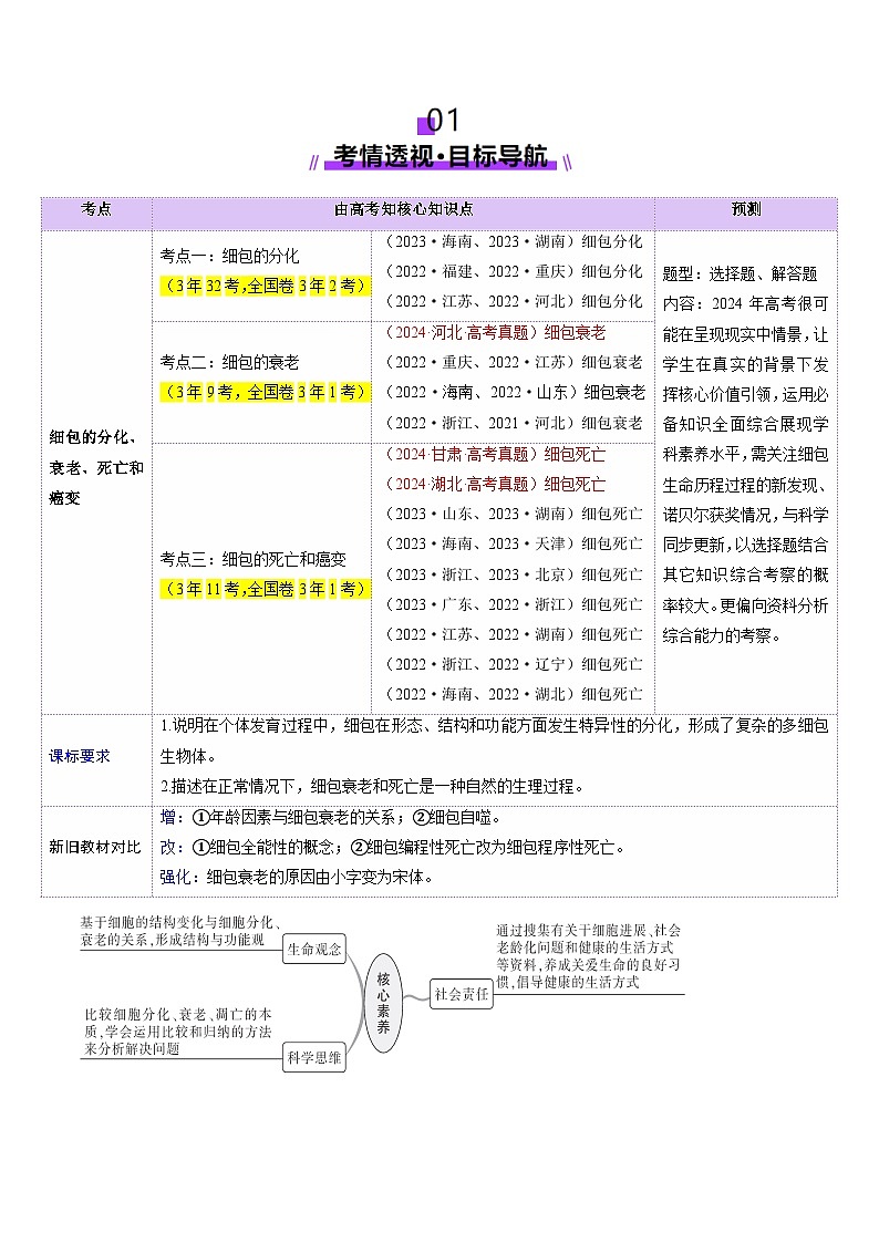 2025年新高考生物一轮复习第4单元细胞的生命历程第14讲细胞的分化、衰老、死亡和癌变（讲义）（学生版）第2页