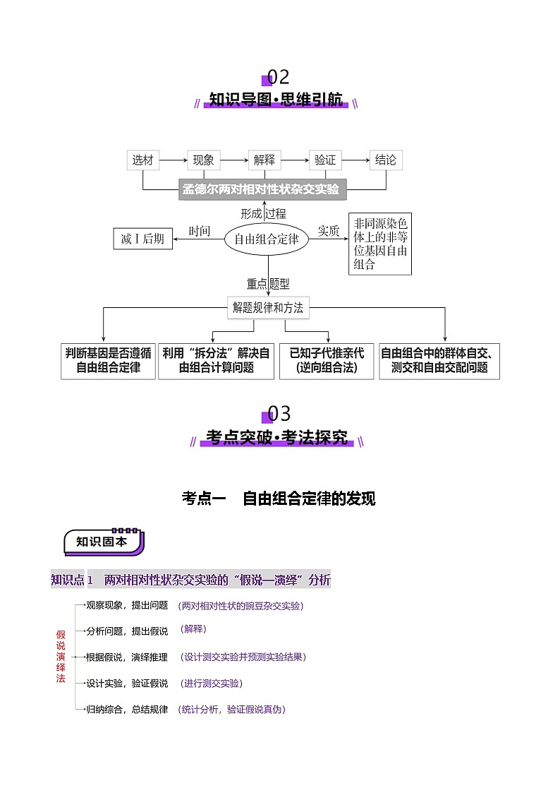2025年新高考生物一轮复习第5单元基因的传递规律第16讲自由组合定律（第一课时）（讲义）（学生版）第3页