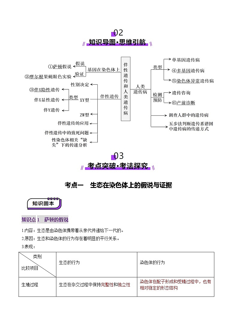 2025年新高考生物一轮复习第5单元基因的传递规律第17讲伴性遗传和人类遗传病（讲义）（教师版）第3页