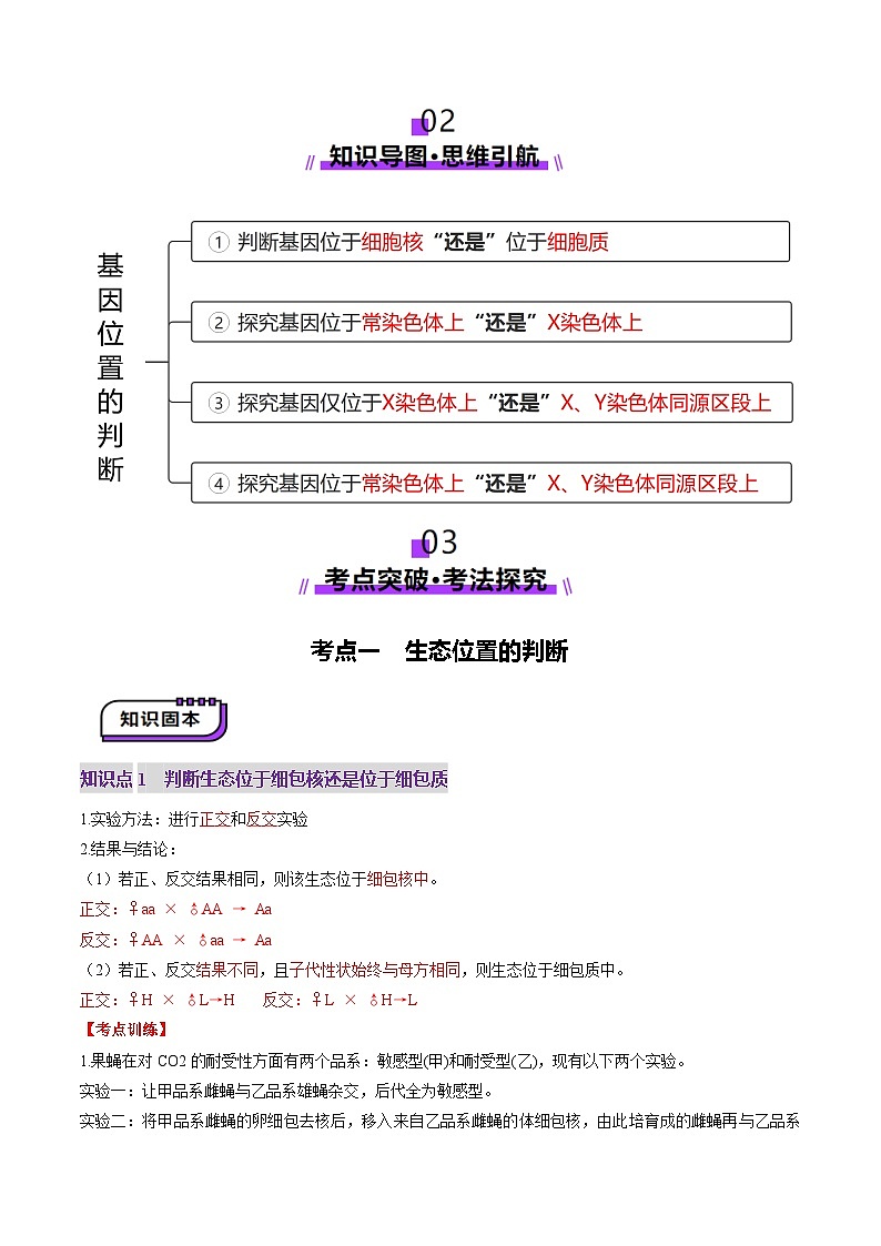 2025年新高考生物一轮复习第5单元基因的传递规律第18讲遗传综合实验分析（讲义）（教师版）第2页