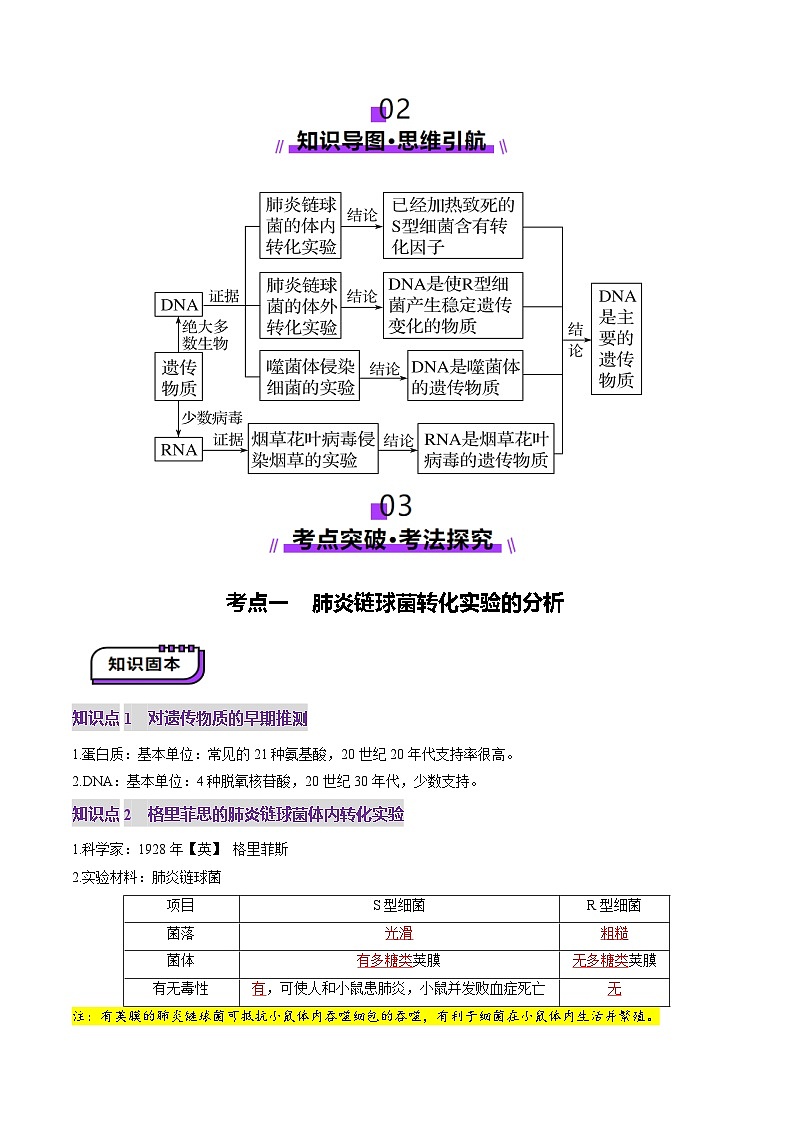 2025年新高考生物一轮复习第6单元遗传的分子基础第19讲DNA是主要的遗传物质（讲义）（教师版）第3页