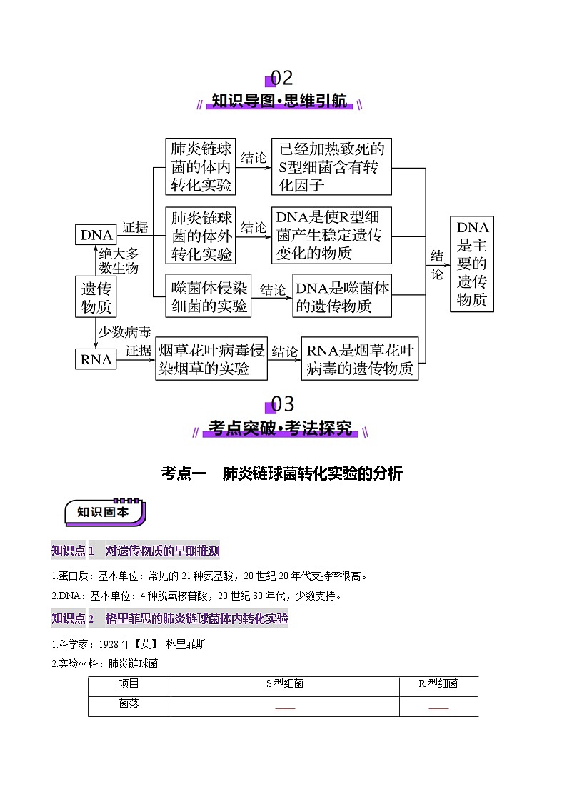2025年新高考生物一轮复习第6单元遗传的分子基础第19讲DNA是主要的遗传物质（讲义）（学生版）第3页