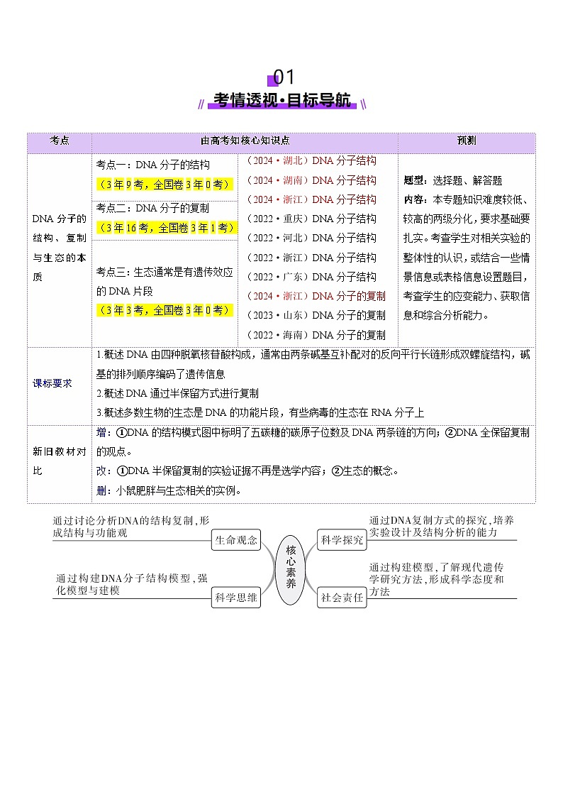 2025年新高考生物一轮复习第6单元遗传的分子基础第20讲DNA分子的结构、复制与基因的本质（讲义）（学生版）第2页