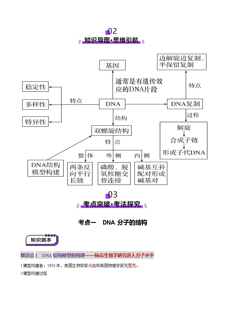 2025年新高考生物一轮复习第6单元遗传的分子基础第20讲DNA分子的结构、复制与基因的本质（讲义）（学生版）第3页