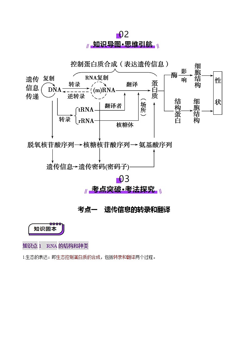 2025年新高考生物一轮复习第6单元遗传的分子基础第21讲基因的表达、基因与性状的关系（讲义）（教师版）第3页