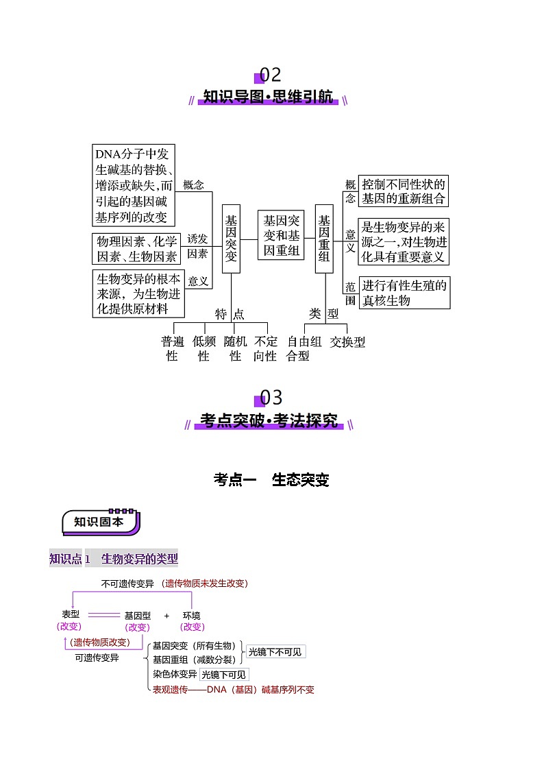2025年新高考生物一轮复习第7单元生物的变异和进化第22讲生物的变异（第一课时，基因突变和基因重组）（讲义）（学生版）第3页