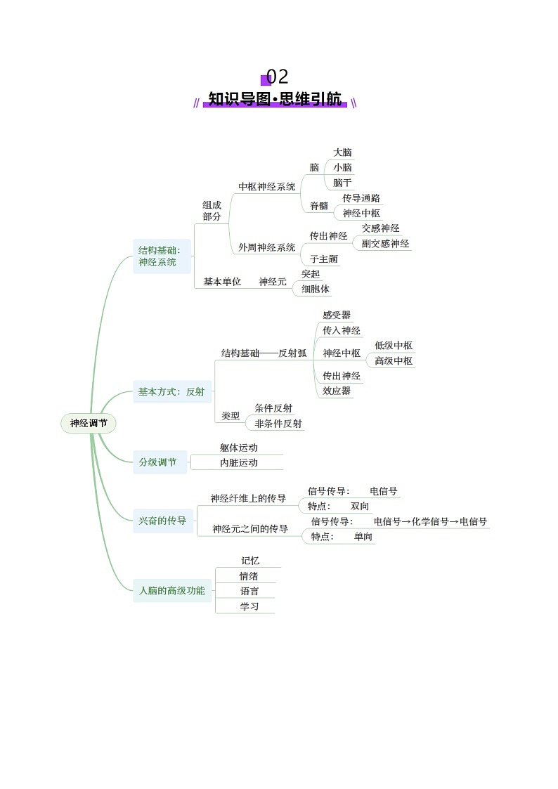 2025年新高考生物一轮复习第8单元稳态与调节第25讲神经调节（第一课时，神经调节的结构基础及基本方式）（讲义）（教师版）第3页