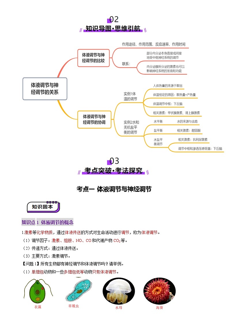 2025年新高考生物一轮复习第8单元稳态与调节第27讲体液调节与神经调节的关系（讲义）（学生版）第3页