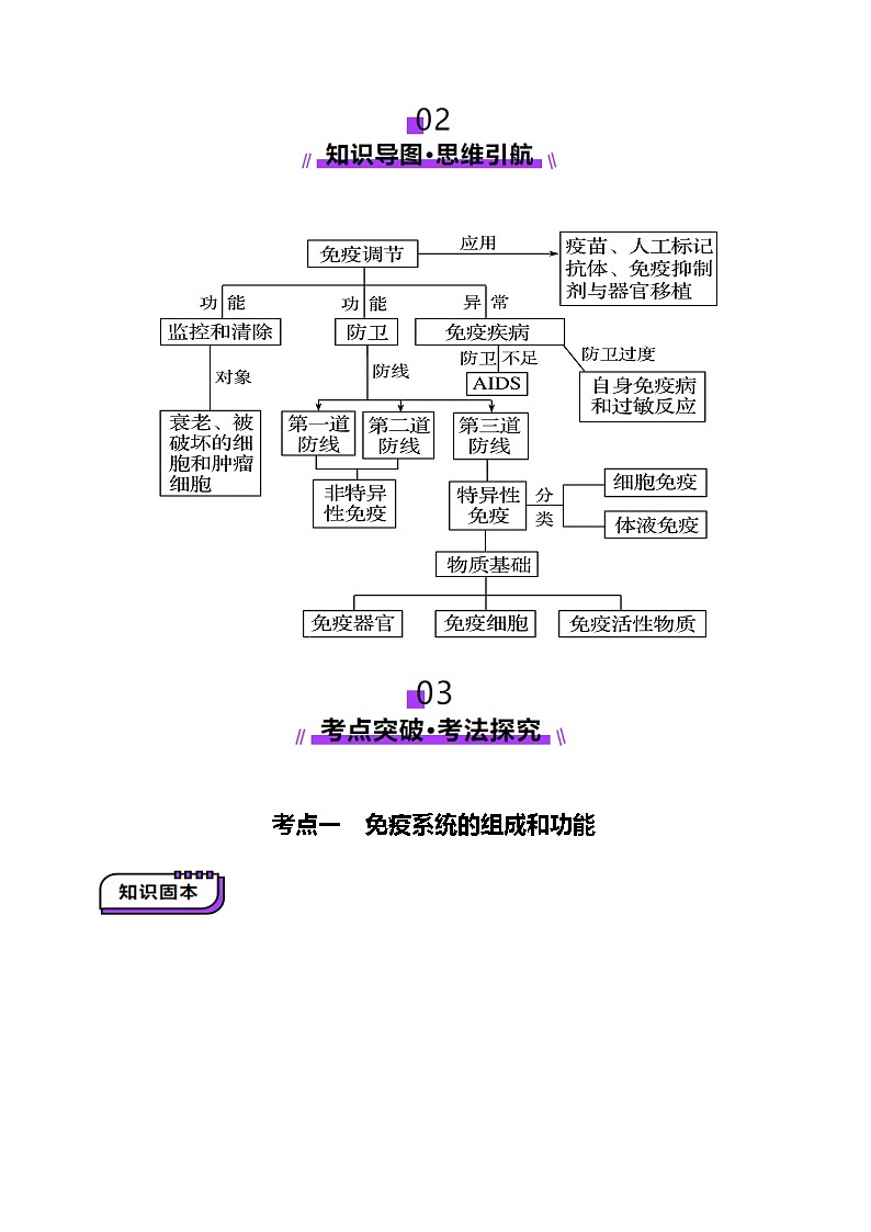 2025年新高考生物一轮复习第8单元稳态与调节第28讲免疫调节（讲义）（学生版）第3页