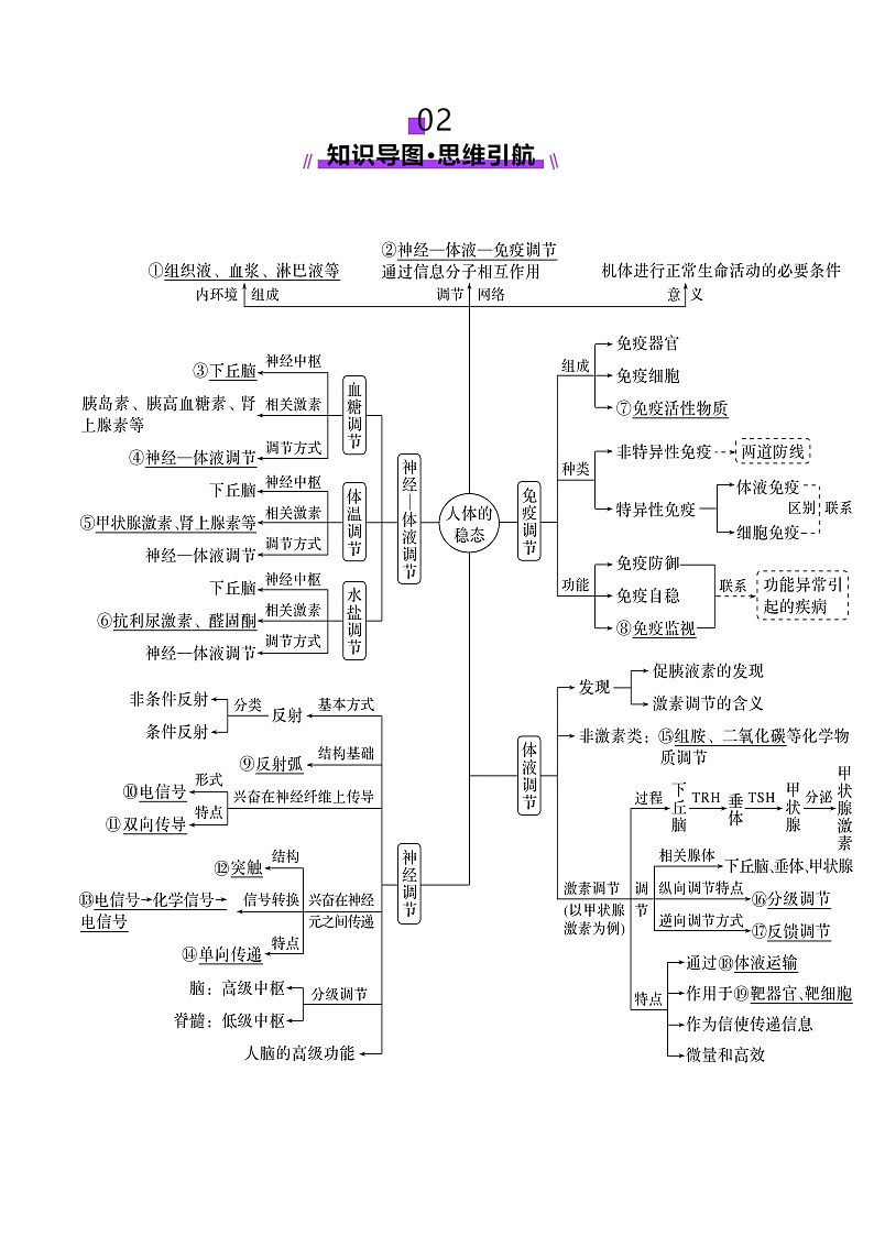 2025年新高考生物一轮复习第8单元稳态与调节第30讲动物生命活动调节的综合分析（讲义）（学生版）第2页